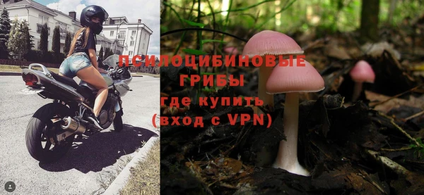 прущая мука Абаза