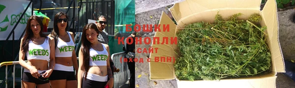 МДПВ Гусиноозёрск