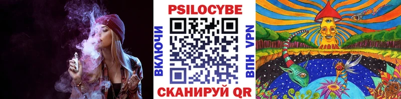 ссылка на мегу   Лесозаводск  Галлюциногенные грибы Psilocybe 